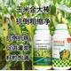 玉米葉面肥哪里賣圖
