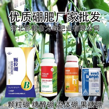 滴灌子硼肥什么牌子好,為峰肥業硼肥廠家批發
