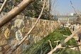 九江園林造景柏坡黃景墻定制價(jià)格多少錢(qián),天然原石柏坡黃景墻