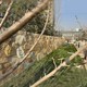柏坡黃景墻圖