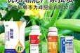 1000毫升大牌子硼肥批發,顆粒硼廠家直銷