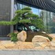 銀川柏坡黃石墻圖