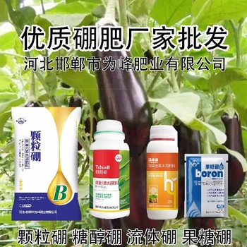粉劑子硼肥葉面肥批發(fā),為峰肥業(yè)硼肥廠家批發(fā)