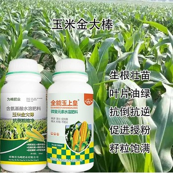 玉米抗倒玉米金大棒玉米葉面肥用法用量,金大棒生產(chǎn)廠家