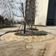 柏坡黃石墻圖