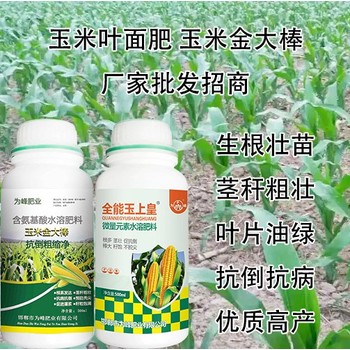 含氨基酸玉上皇玉米葉面肥,玉米高產肥料
