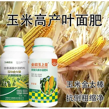 玉米抗倒玉米金大棒玉米葉面肥哪里賣,玉米矮大棒