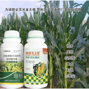 含氨基酸玉上皇玉米葉面肥,玉米高產肥料