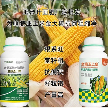 為峰肥業金大棒玉米葉面肥使用方法,金大棒廠家批發