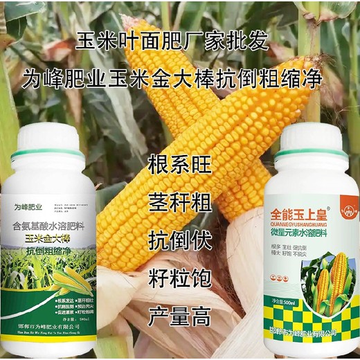 玉米玉米金大棒玉米葉面肥生產(chǎn)廠(chǎng)家,玉米矮大棒