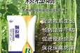 流體硼高比重硼肥效果,為峰肥業優質硼肥廠家批發