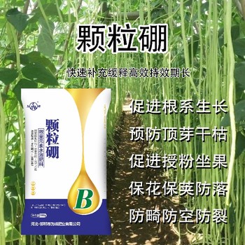 40克老廠家硼肥批發(fā),顆粒硼廠家
