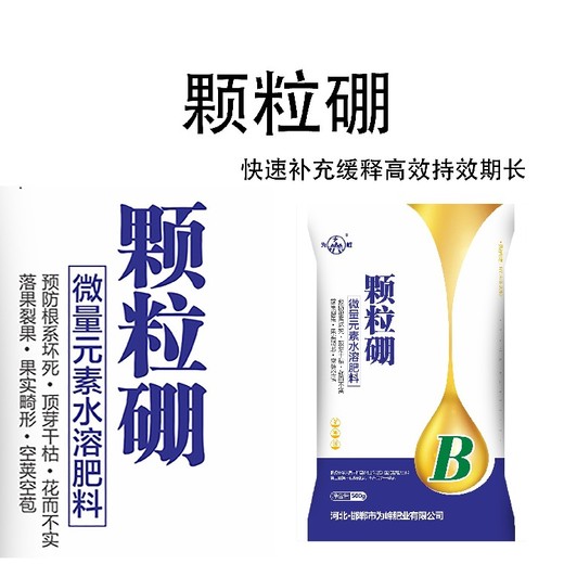 液體高純度硼肥招商,為峰肥業(yè)硼肥廠家批發(fā)