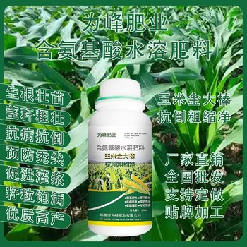 玉米抗倒玉米金大棒玉米葉面肥效果,金大棒廠家批發(fā)