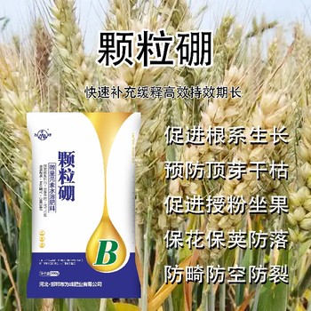 粉劑高純度硼肥什么牌子好,為峰肥業硼肥廠家批發