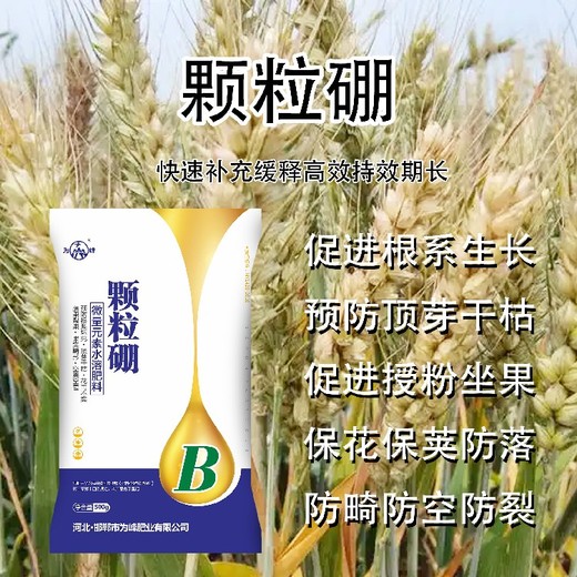液體子硼肥產(chǎn)品定做,為峰肥業(yè)硼肥廠(chǎng)家批發(fā)