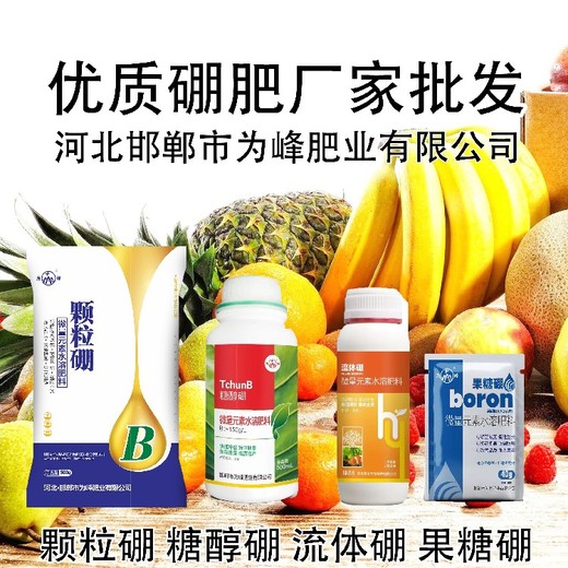 小袋裝老廠家硼肥招商,顆粒硼廠家