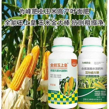 玉米抗倒金大棒玉米葉面肥定做,金大棒廠家批發