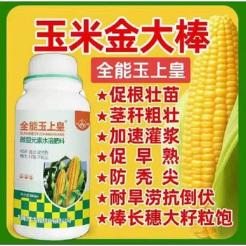 玉米抗倒玉米金大棒玉米葉面肥用法用量,金大棒生產(chǎn)廠家