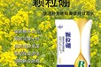 1升裝大牌子硼肥的作用于功效,為峰肥業優質硼肥廠家批發