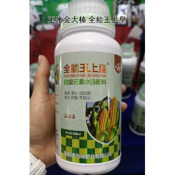 玉米抗倒玉米金大棒玉米葉面肥效果,金大棒廠家批發(fā)