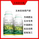 玉米抗倒金大棒玉米葉面肥銷售經(jīng)理,玉米葉面肥產(chǎn)品圖
