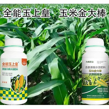 含氨基酸金大棒玉米葉面肥貼牌加工,玉米高產(chǎn)肥料