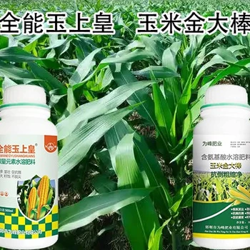 為峰肥業(yè)玉上皇玉米葉面肥銷售經(jīng)理,玉米高產(chǎn)肥料