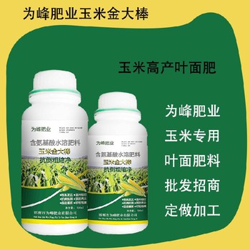 預(yù)防黃葉玉米金大棒玉米葉面肥功效,玉米金大棒招商