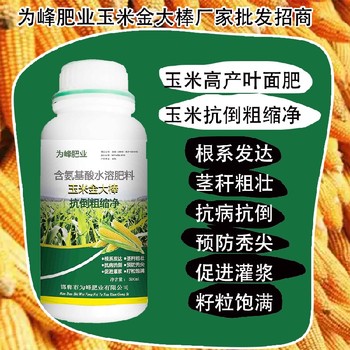 玉米抗倒金大棒玉米葉面肥定做,金大棒廠家批發