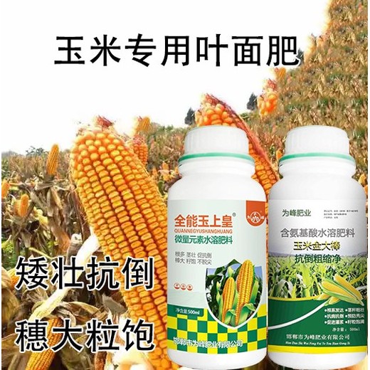 玉米抗倒玉上皇玉米葉面肥功效,玉米高產(chǎn)肥料