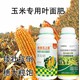 玉米玉上皇玉米葉面肥哪里賣,金大棒廠家批發(fā)產(chǎn)品圖