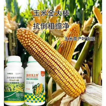 玉米抗倒金大棒玉米葉面肥定做,金大棒廠家批發