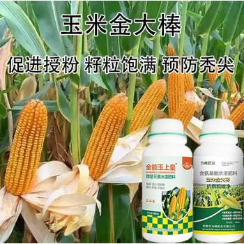 玉米抗倒玉米金大棒玉米葉面肥用法用量,金大棒生產(chǎn)廠家