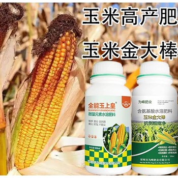 預(yù)防黃葉玉米金大棒玉米葉面肥招商,金大棒生產(chǎn)廠家