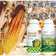 玉米葉面肥什么牌子好圖