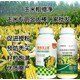 玉米葉面肥作用圖
