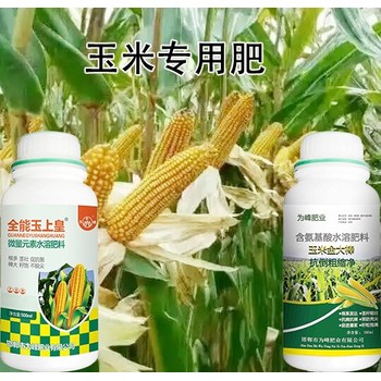 含氨基酸玉米金大棒玉米葉面肥效果,玉米葉面肥