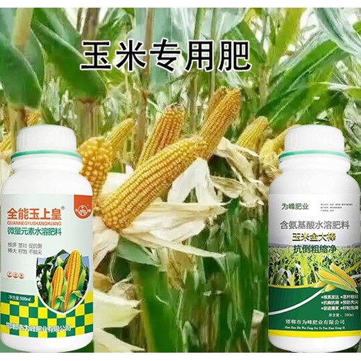玉米增產(chǎn)玉上皇玉米葉面肥,玉米矮大棒
