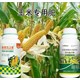 玉米葉面肥價格圖