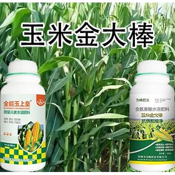 含氨基酸玉上皇玉米葉面肥,玉米高產肥料