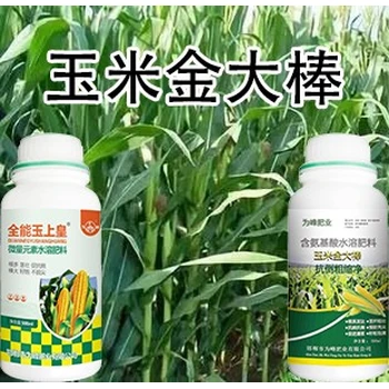 玉米抗倒玉米金大棒玉米葉面肥哪里賣,玉米矮大棒