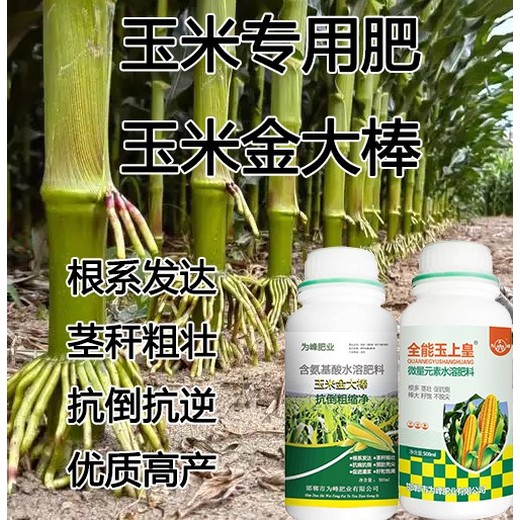 預防禿尖金大棒玉米葉面肥廠(chǎng)家電話(huà),玉米金大棒招商