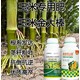玉米抗倒玉米金大棒玉米葉面肥好不好,金大棒生產(chǎn)廠家產(chǎn)品圖
