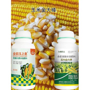 為峰肥業(yè)玉米金大棒玉米葉面肥哪里賣,金大棒生產(chǎn)廠家
