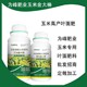 玉米葉面肥使用方法圖