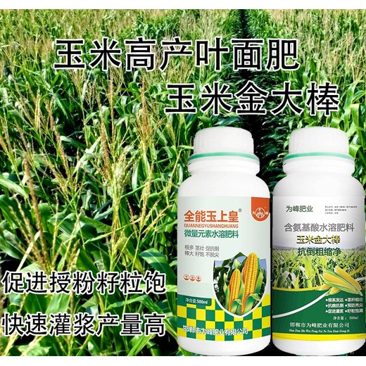 玉米增產(chǎn)金大棒玉米葉面肥好不好,金大棒生產(chǎn)廠(chǎng)家