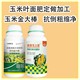預防禿尖玉米金大棒玉米葉面肥用法用量,金大棒廠家批發(fā)產品圖