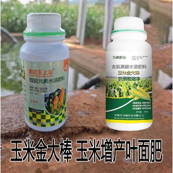 為峰肥業(yè)玉米金大棒玉米葉面肥哪里賣,金大棒生產(chǎn)廠家