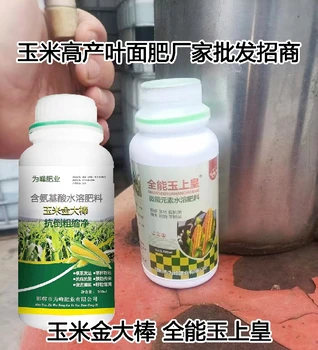 玉米金大棒玉米葉面肥用法用量,玉米金大棒招商